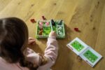 orden en la granja smartgames