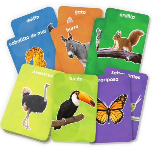 Mis primeros 100 animales Flash cards ludilo