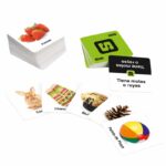 SLAPZI juego de mesa lúdilo